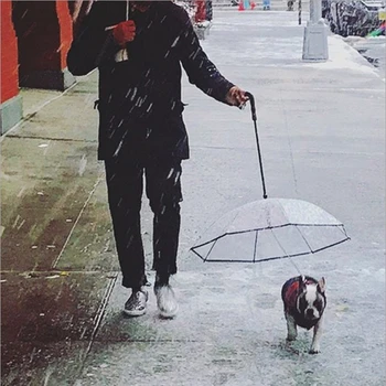 Aukštos kokybės skaidrus pet skėtis įmontuota traukos grandinės vandeniui šuo skėtis lietpaltis naminių reikmenys