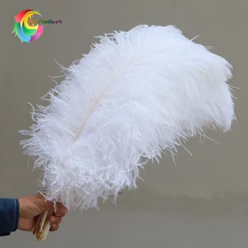Urmu kaina 100vnt/daug Elegantiška Balta stručio plunksnų 15-75cm amatų vestuves prekių Karnavalas apdailos plumages