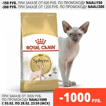 Royal Canin Sfinksas Suaugusiųjų для взрослых кошек породы сфинкс, Kačių maistas, kačių, 10 кг