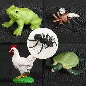1 Nustatyti Modeliavimo Gyvūnų Modelio Gyvavimo Ciklo Pažinimo Žaislas Varles/vėžlys/ant/uodas/vištienos Modelis Augimo Ciklo Pradžioje Švietimo Žaislas